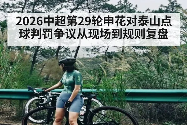 2026中超第29轮申花对泰山点球判罚争议从现场到规则复盘